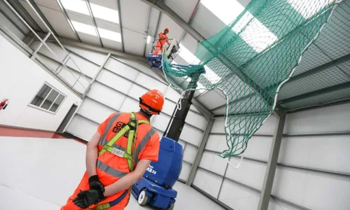 Commercial Bird Control